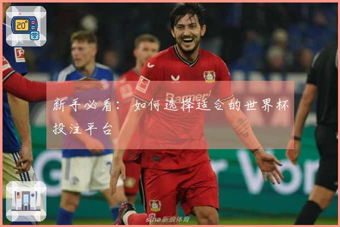 新手必看：如何选择适合的世界杯投注平台