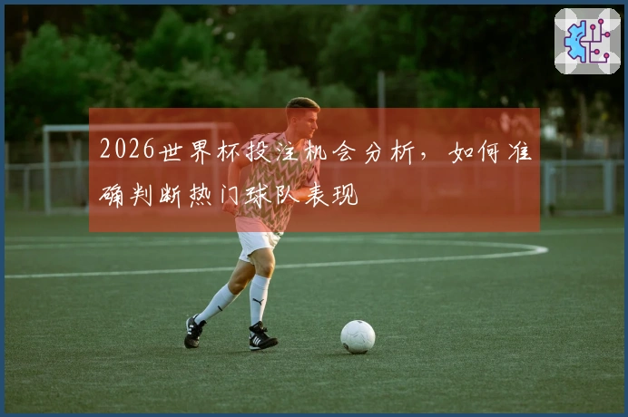 2026世界杯投注机会分析，如何准确判断热门球队表现
