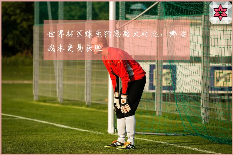 世界杯买球竞猜思路大对比，哪些战术更易获胜