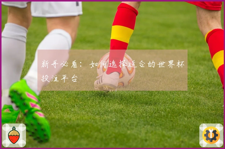 新手必看：如何选择适合的世界杯投注平台