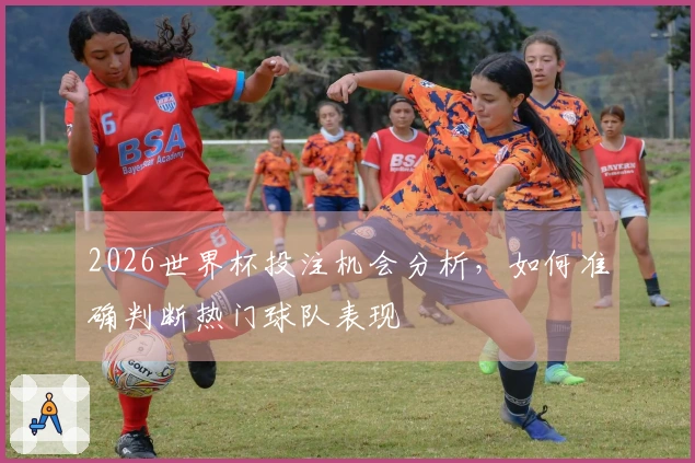 2026世界杯投注机会分析，如何准确判断热门球队表现